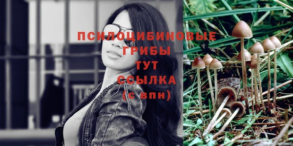 ECSTASY Липки