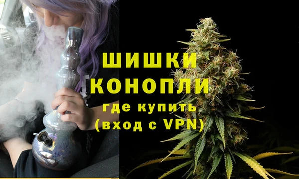 ECSTASY Липки