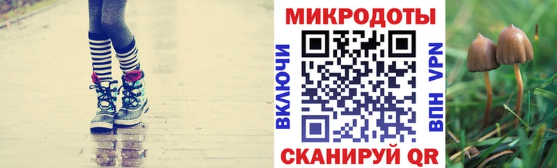 купить   Алдан  Галлюциногенные грибы MAGIC MUSHROOMS 